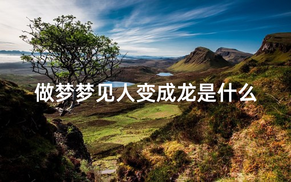 做梦梦见人变成龙是什么预兆—梦见别人变成龙是什么预兆