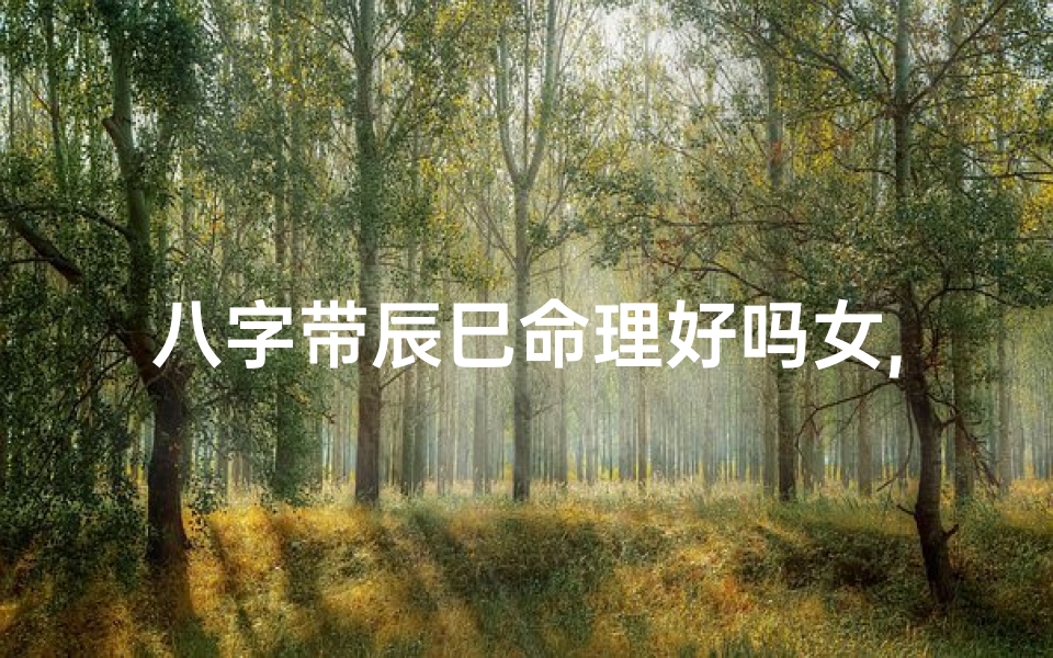 八字带辰巳命理好吗女,《辰巳命理揭秘:八字带辰巳女性的独特魅力》