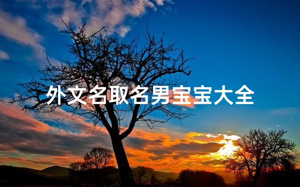外文名取名男宝宝大全