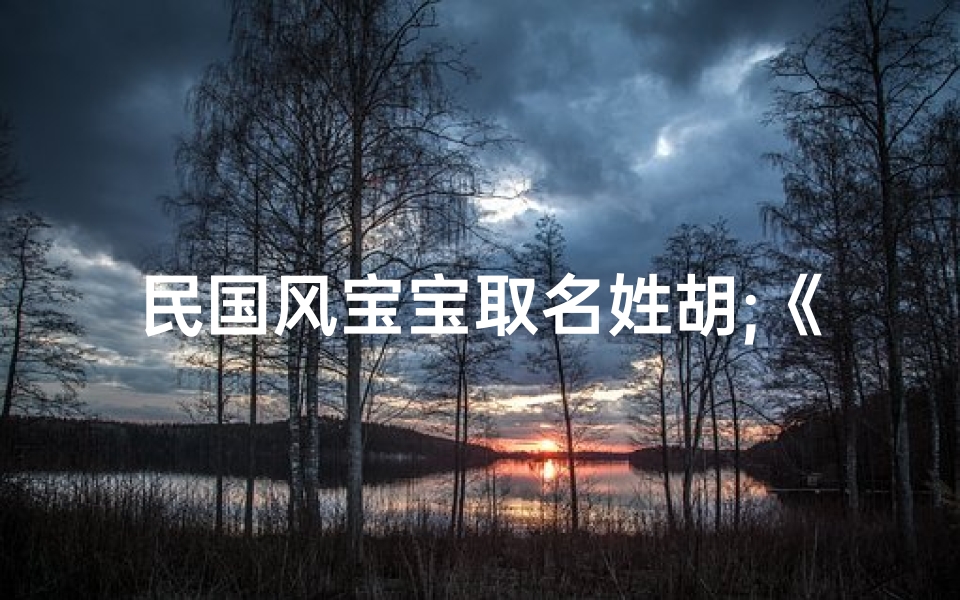 民国风宝宝取名姓胡;《民国风华胡宝宝,传承经典新名扬》