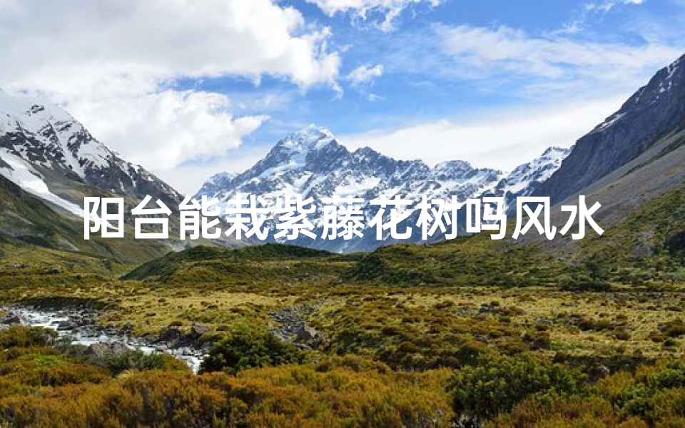 阳台能栽紫藤花树吗风水