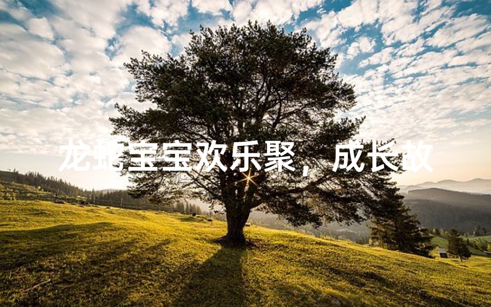 龙蛇宝宝欢乐聚,成长故事共分享