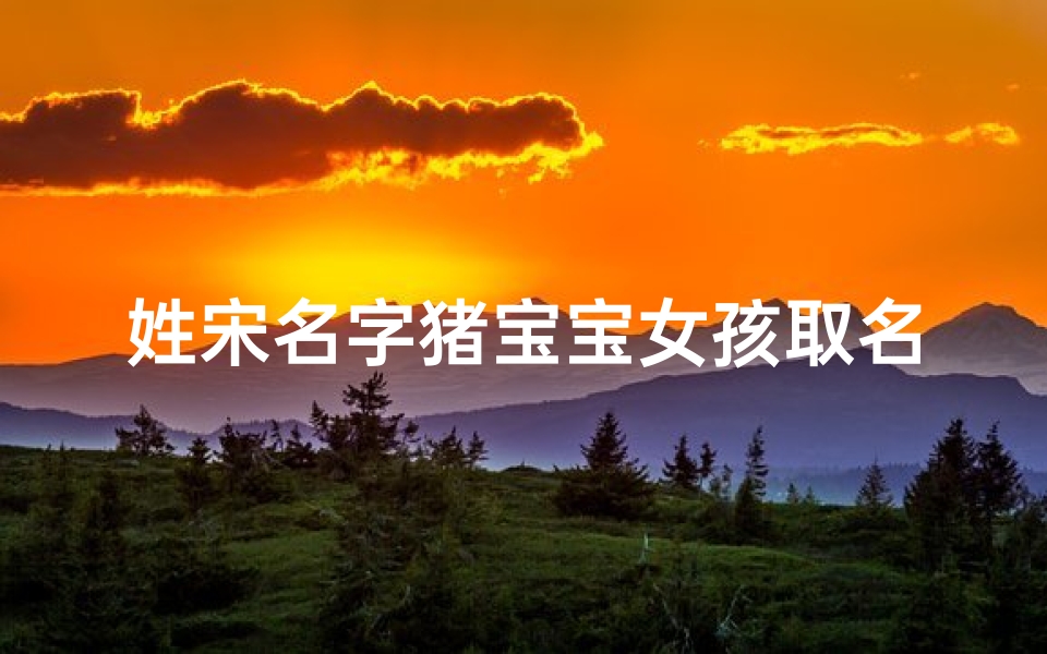 姓宋名字猪宝宝女孩取名;宝宝姓宋取什么名字好-优贝算卦网