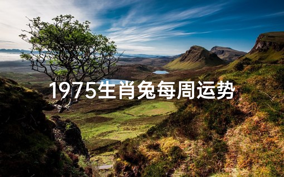 1975生肖兔每周运势,1975年属兔运程每月