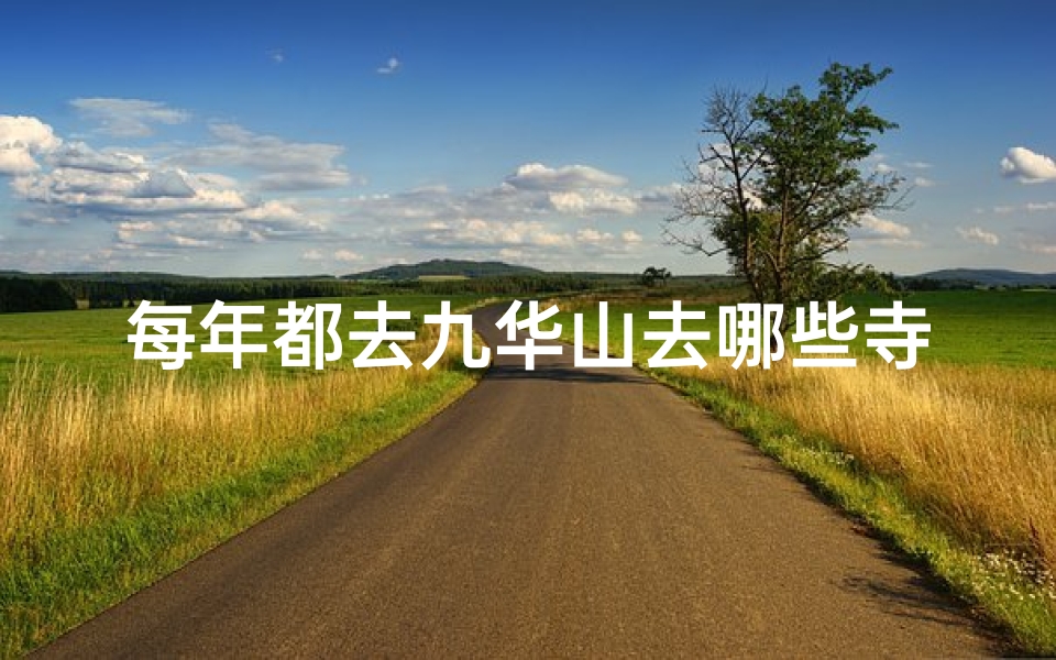 每年都去九华山去哪些寺庙_九华山朝圣之旅:每年必访的五大寺庙