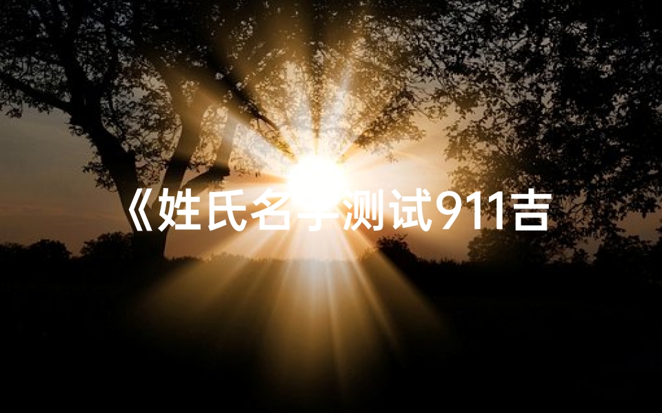 《姓氏名字测试911吉凶:揭秘命运密码》
