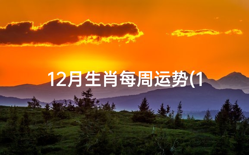12月生肖每周运势(12生肖每周运势:揭秘生肖运势新篇章)