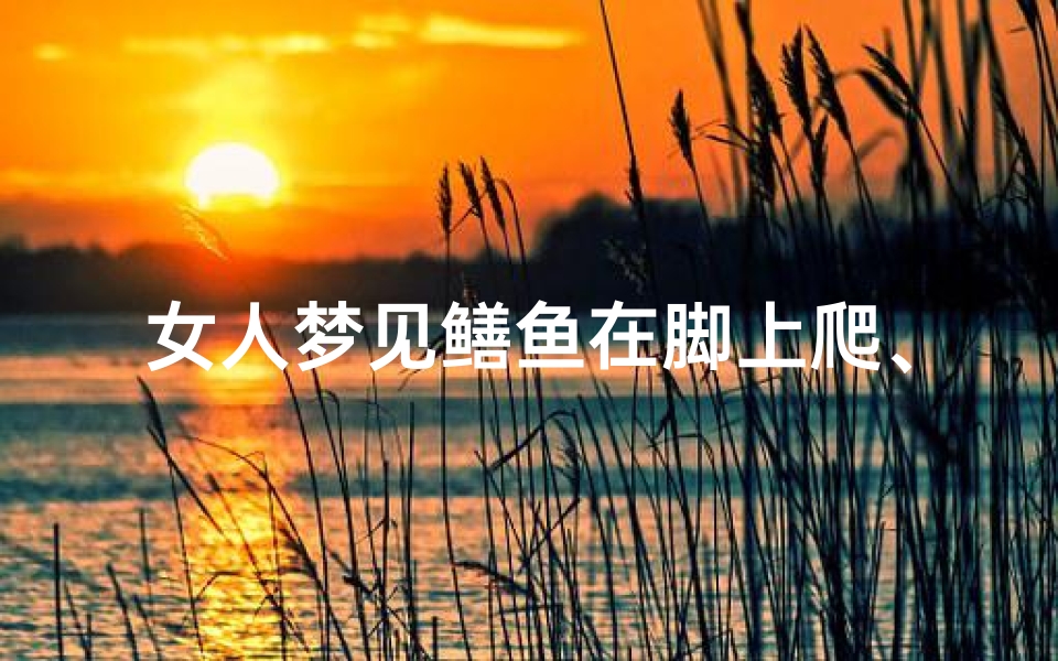 女人梦见鳝鱼在脚上爬、女人梦见鳝鱼缠身是什么预兆-优贝算卦网
