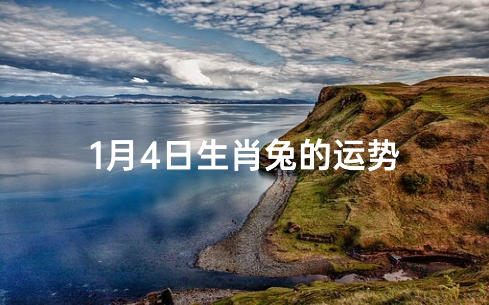 1月4日生肖兔的运势