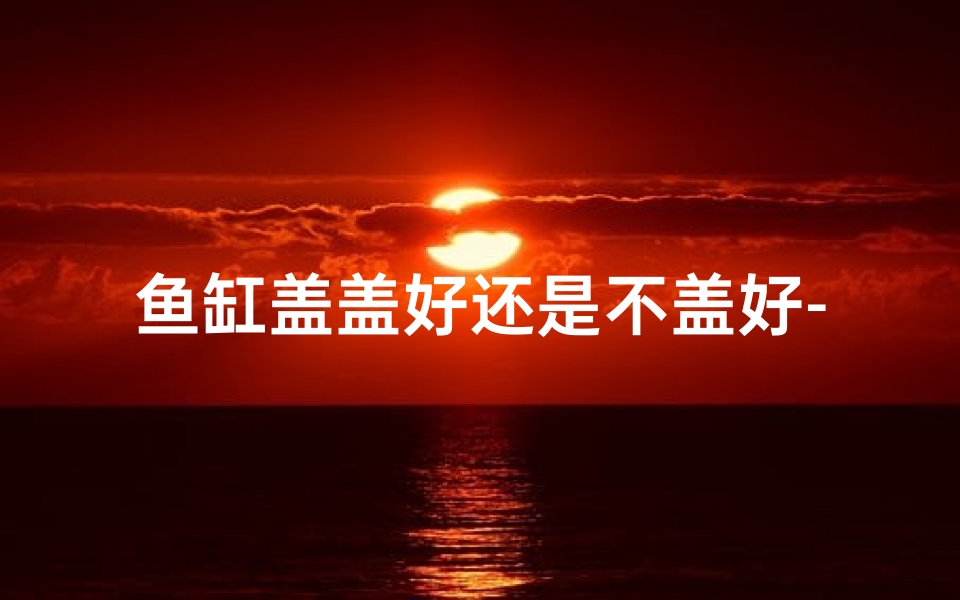 鱼缸盖盖好还是不盖好-风水讲究:鱼缸盖盖子,财运滚滚来