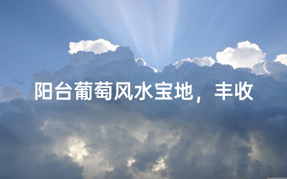 阳台葡萄风水宝地，丰收旺运好风水