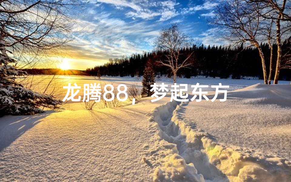 龙腾88,梦起东方