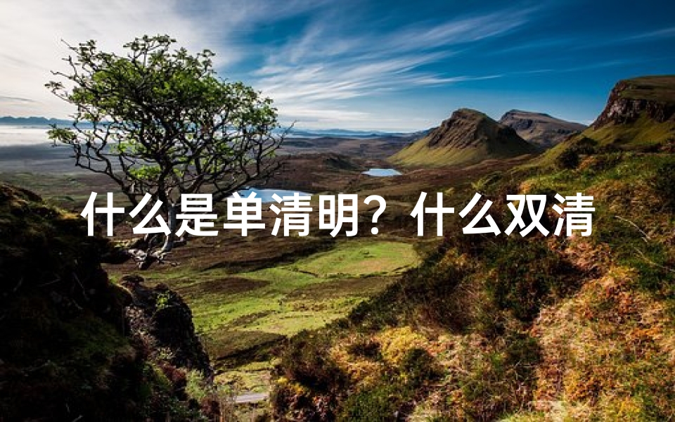 什么是单清明?什么双清明的区别?—单清双清吉凶揭秘:运势好坏大揭秘
