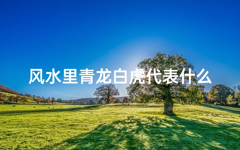 风水里青龙白虎代表什么;《风水之谜:青龙白虎,揭秘男女象征之谜》
