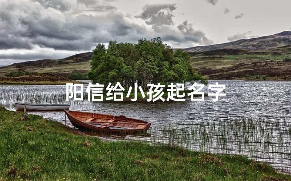 阳信给小孩起名字