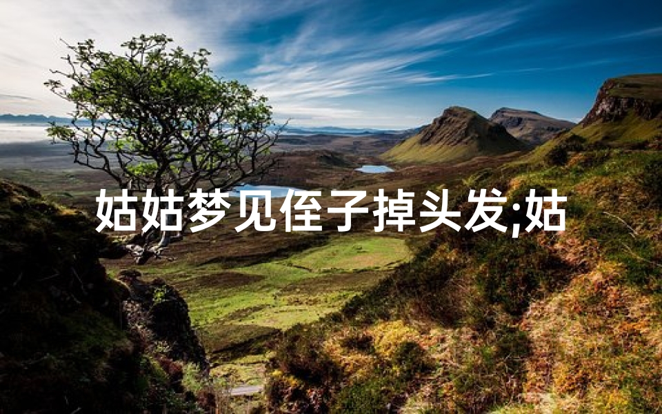 姑姑梦见侄子掉头发;姑姑梦见侄子掉头发什么意思