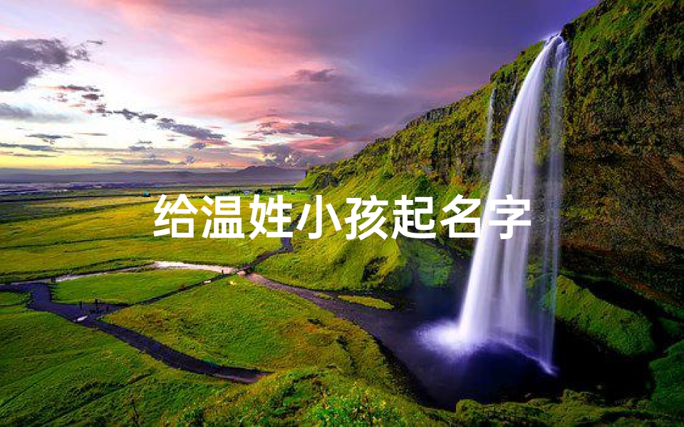 给温姓小孩起名字
