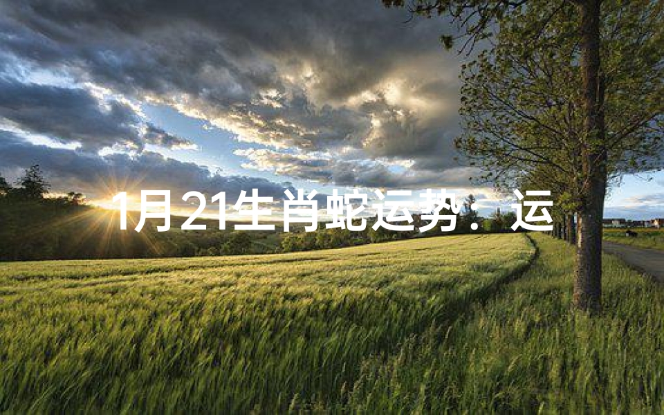 1月21生肖蛇运势:运势大揭秘,吉凶一览无遗