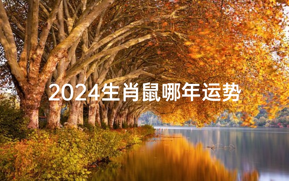 2024生肖鼠哪年运势好-2024生肖鼠哪年运势好呢