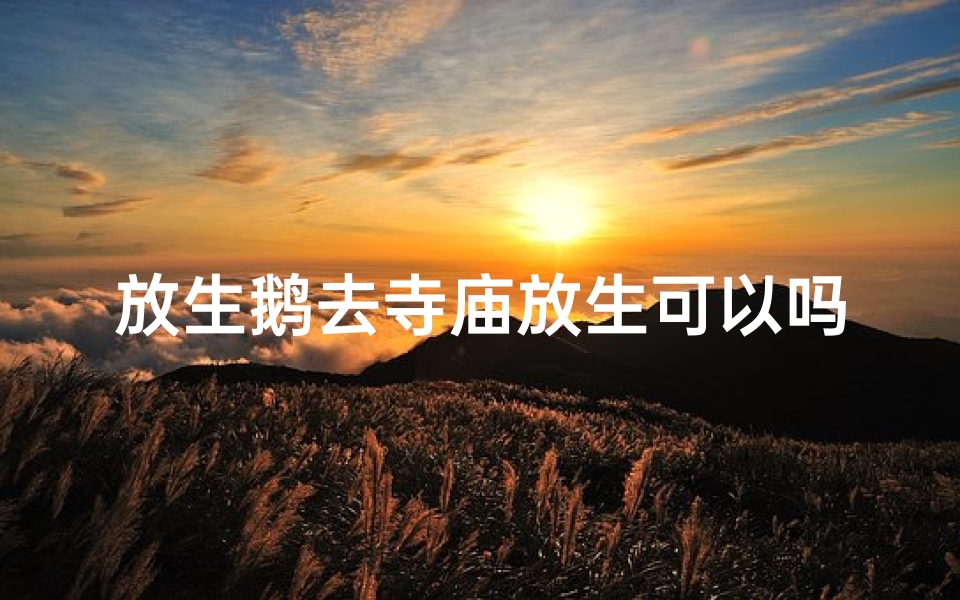 放生鹅去寺庙放生可以吗_寺庙放生:鹅儿自由飞翔,福泽众生