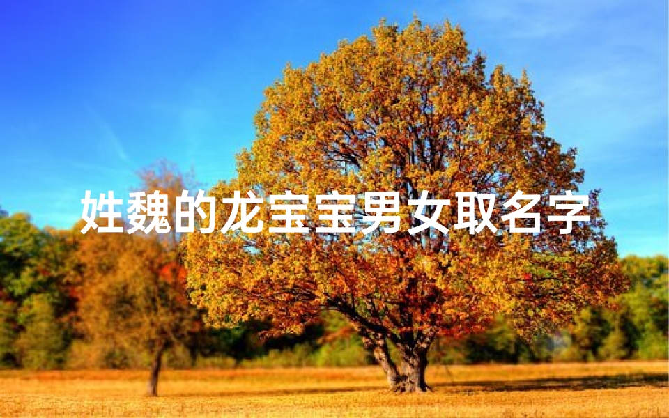 姓魏的龙宝宝男女取名字_《魏氏龙宝宝:男女取名,传承家族荣耀》