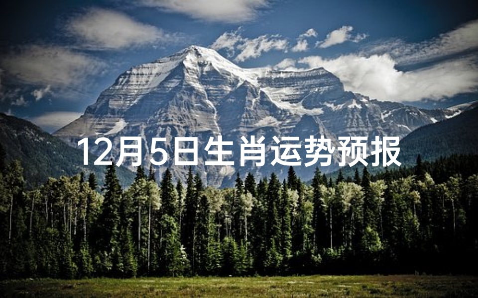12月5日生肖运势预报—12月5日生肖运势预报图-优贝算卦网