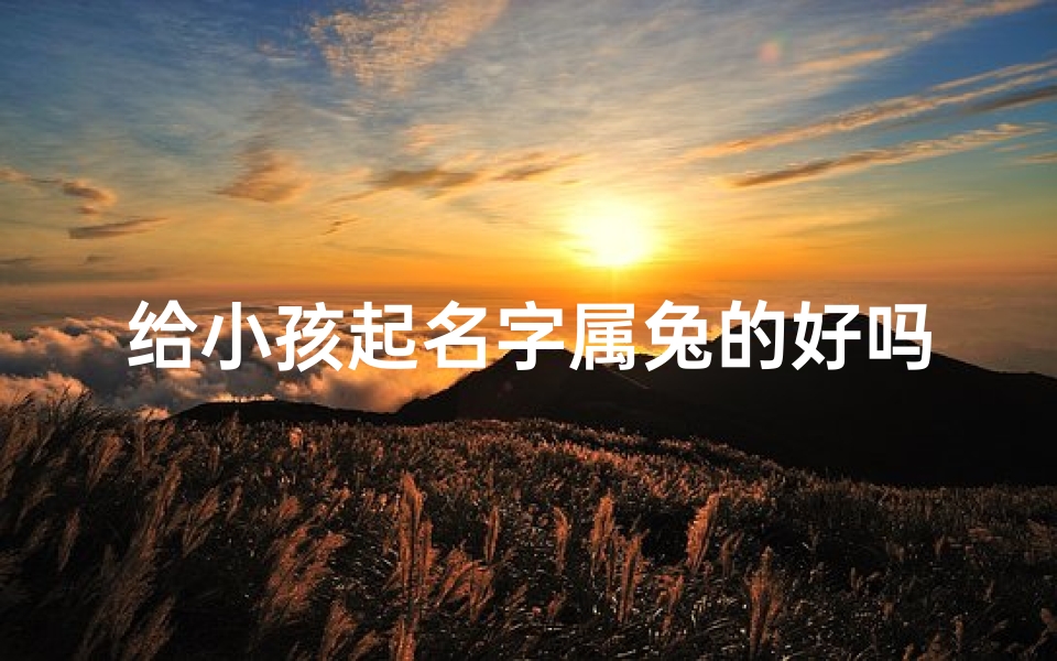 给小孩起名字属兔的好吗