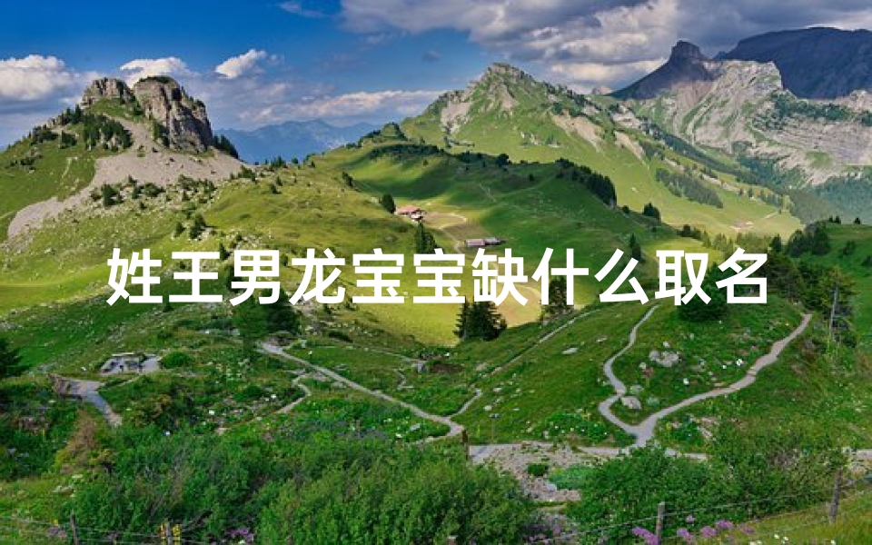 姓王男龙宝宝缺什么取名;《王男龙宝宝:探寻他生命中缺失的那份缘》