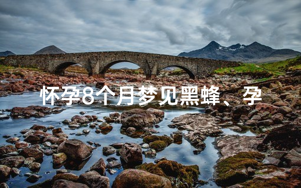 怀孕8个月梦见黑蜂、孕妇梦见一大群蜂
