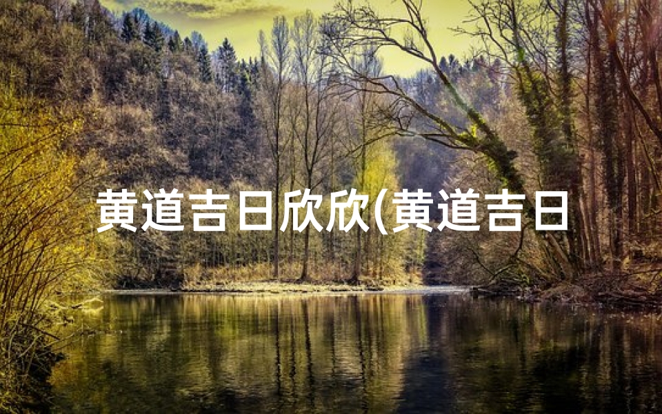 黄道吉日欣欣(黄道吉日欣欣百宝箱)