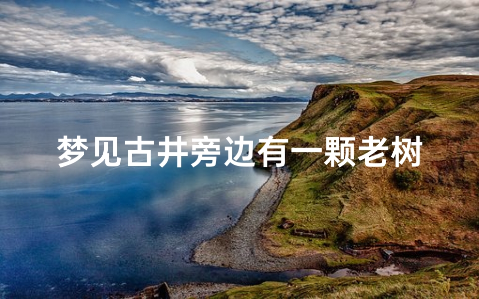梦见古井旁边有一颗老树,梦见古井旁边有一颗老树什么意思