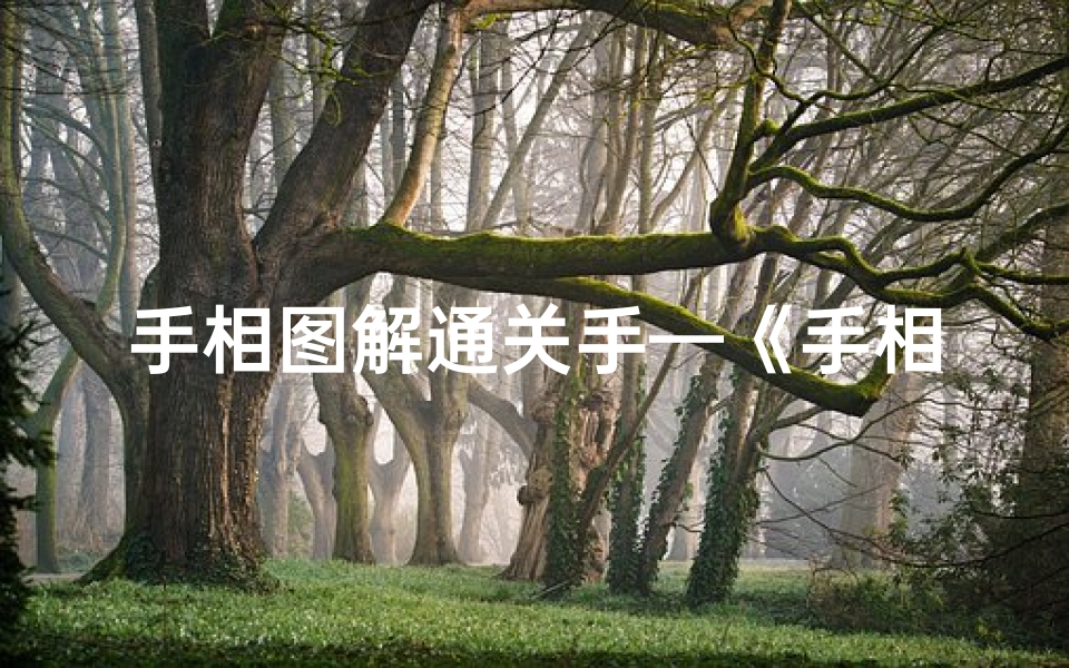 手相图解通关手—《手相吉凶位置深度解析:揭秘命运密码》