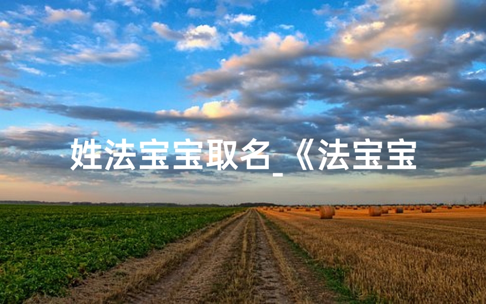 姓法宝宝取名_《法宝宝:萌动童心的甜蜜守护者》