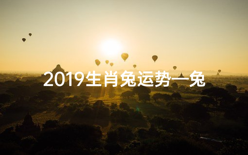 2019生肖兔运势—兔2019年运势完整版