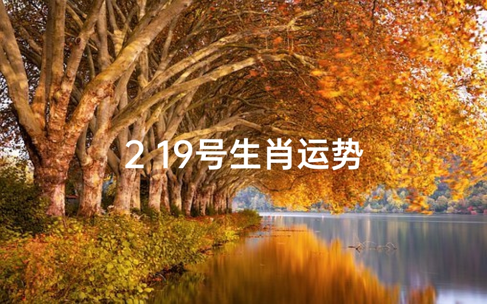 2 19号生肖运势