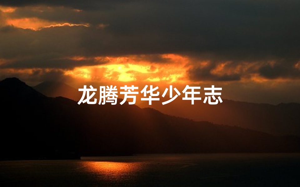 龙腾芳华少年志
