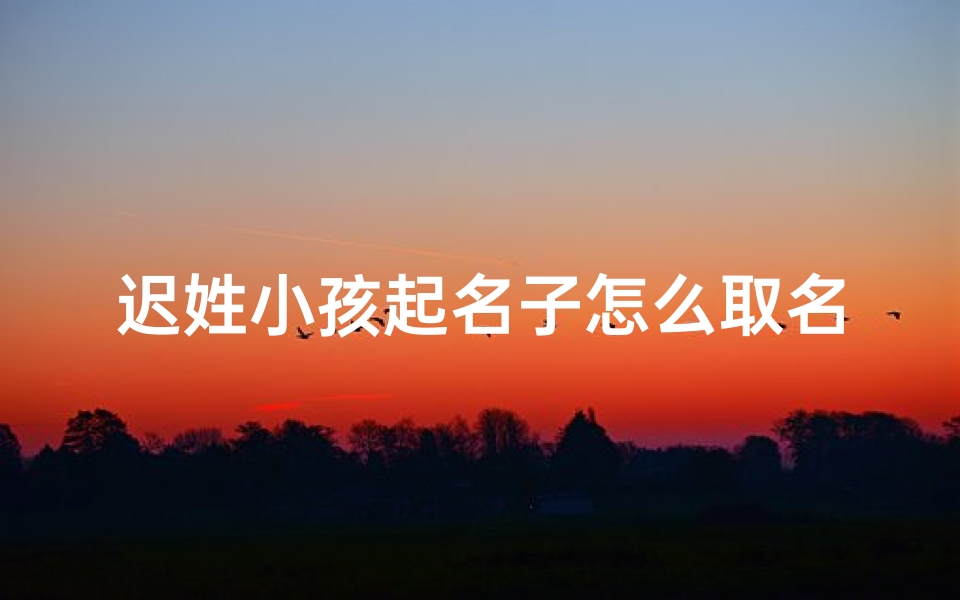 迟姓小孩起名子怎么取名—《迟姓宝宝,如何取一个既吉祥又响亮的名字?》