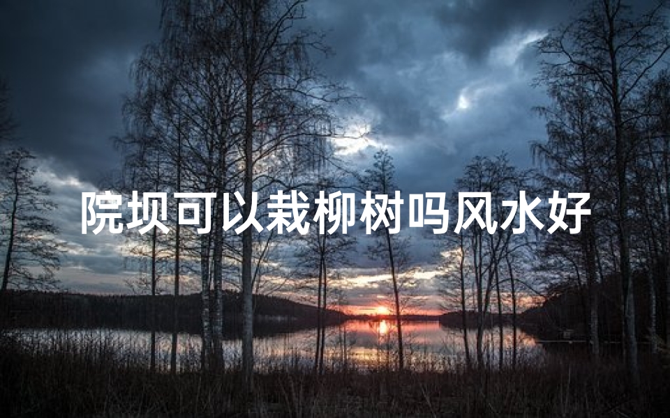 院坝可以栽柳树吗风水好吗,院坝栽柳树风水解析:适宜与否?