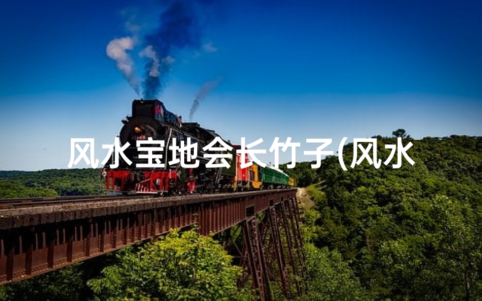 风水宝地会长竹子(风水中的竹子)