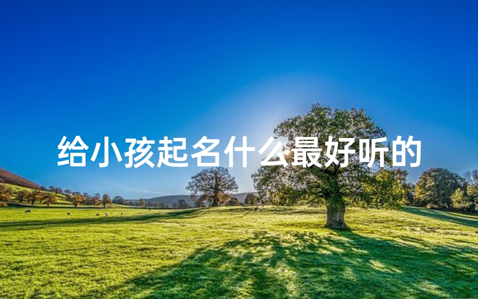 给小孩起名什么最好听的、宝宝起名：如何挑选最好听的名字？