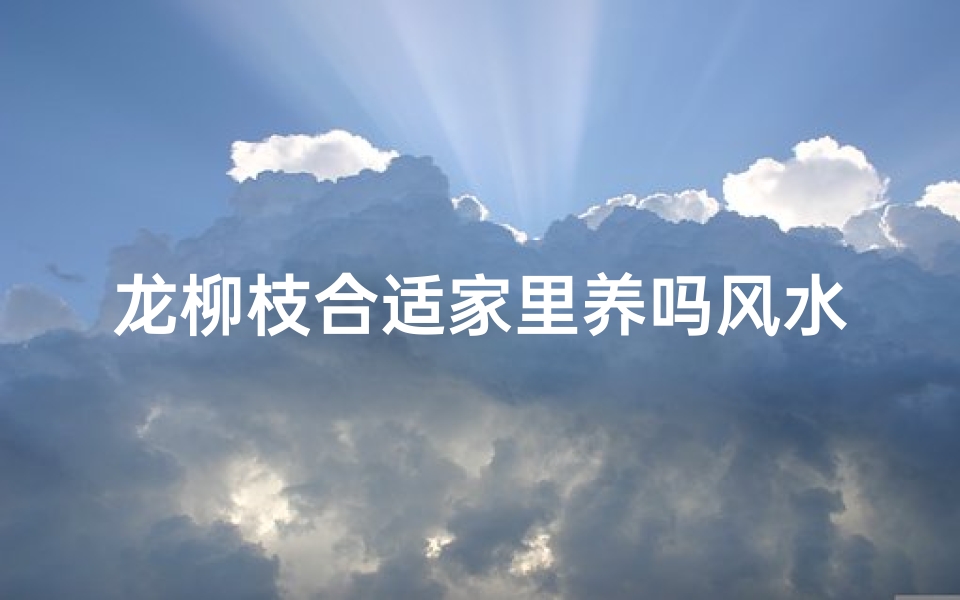 龙柳枝合适家里养吗风水(龙柳枝适合家里养风水吗?揭秘家居植物风水奥秘)