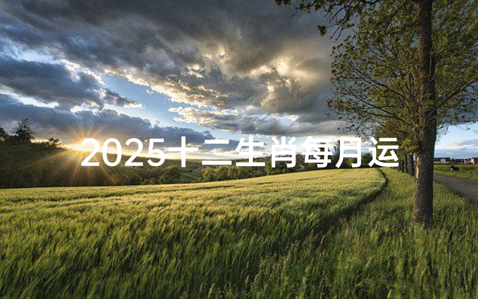2025十二生肖每月运势及运程