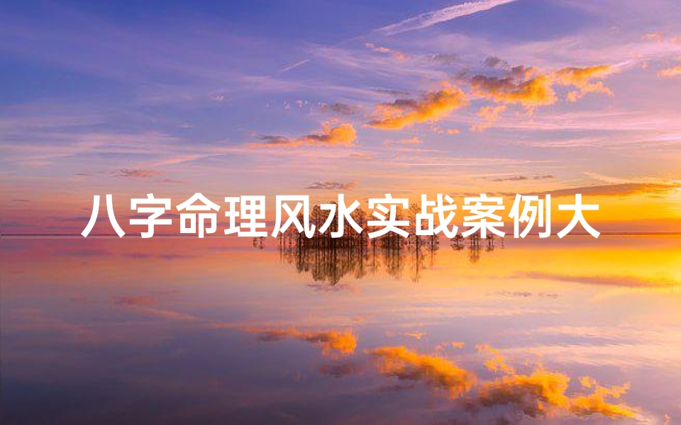八字命理风水实战案例大全,《八字命理风水实战案例宝典汇编》
