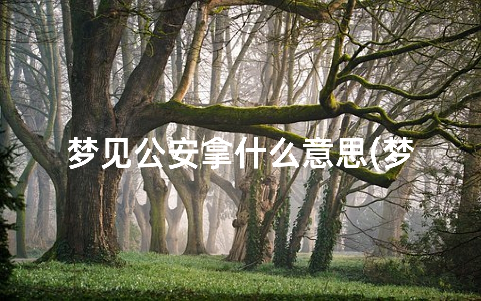 梦见公安拿什么意思(梦见警察拿)-优贝算卦网