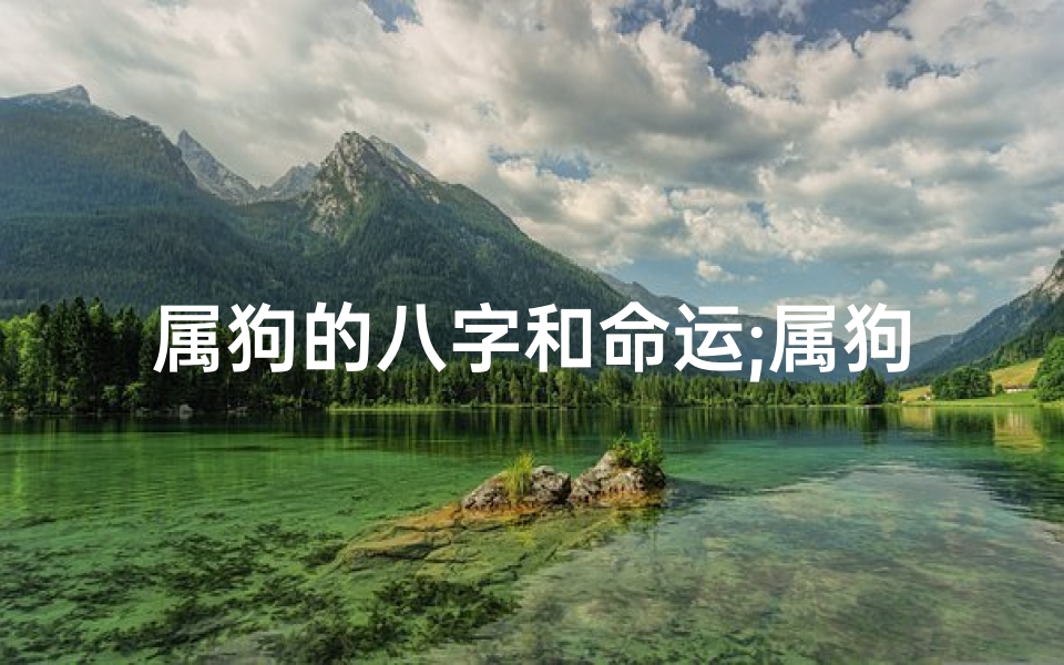 属狗的八字和命运;属狗四柱运势揭秘:吉凶预兆一览无遗