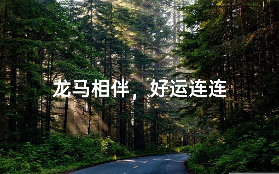 龙马相伴，好运连连