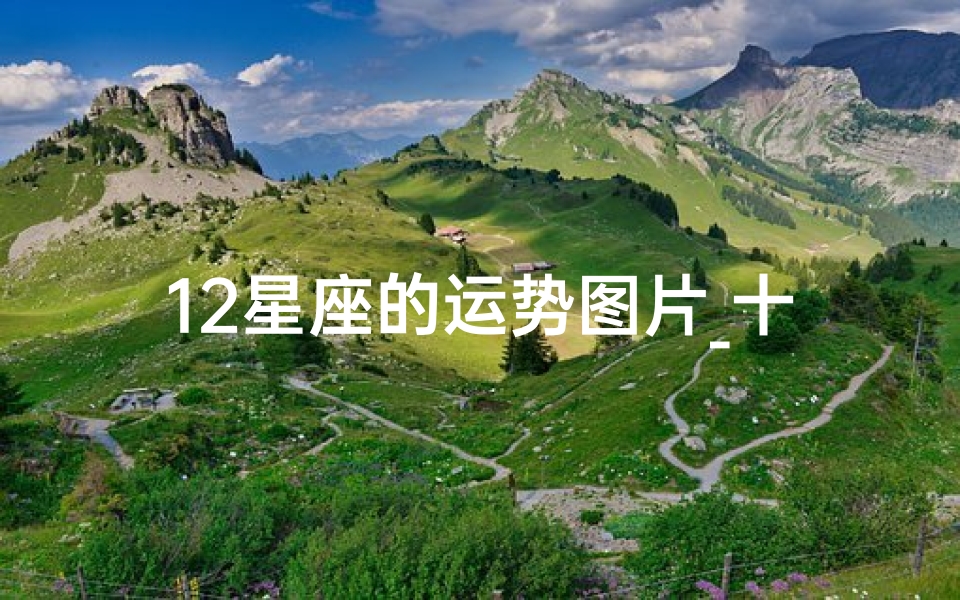 12星座的运势图片_十二星座龙生肖运势图鉴:揭秘2024年运势秘籍