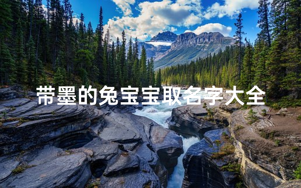 带墨的兔宝宝取名字大全