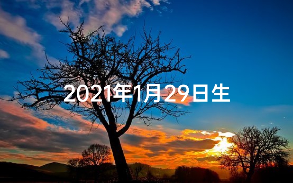2021年1月29日生肖-1月29日生肖运势揭秘:运势起伏大揭秘