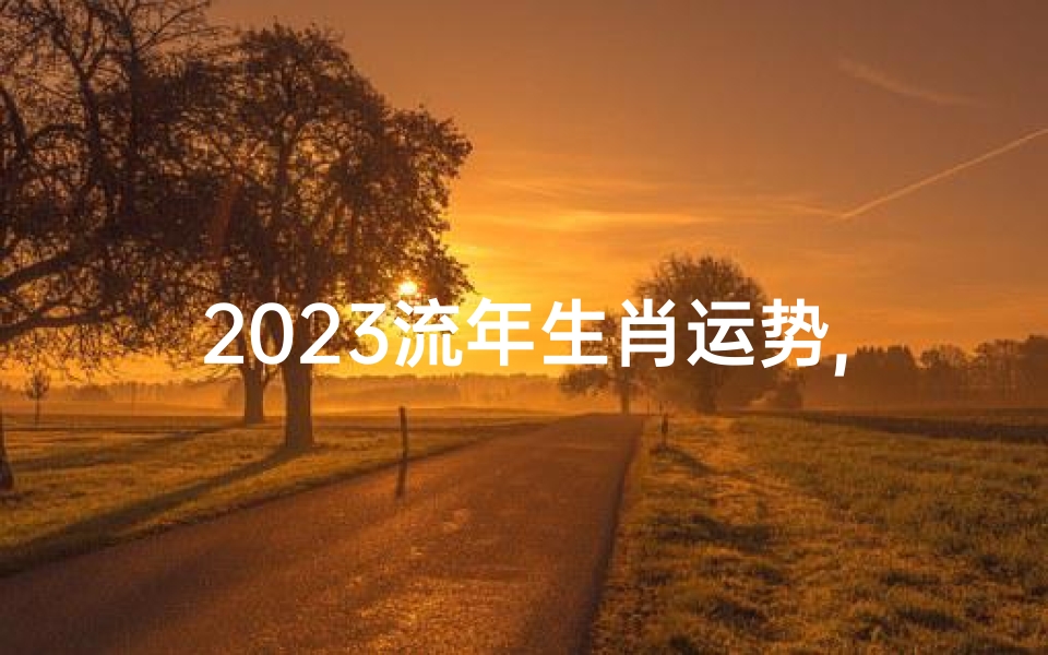 2023流年生肖运势,2023年流年方位图